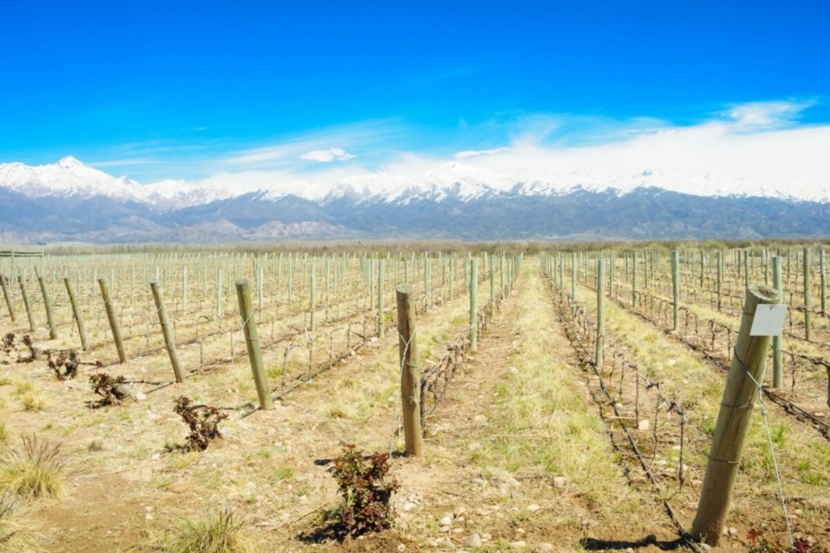 Argentina valledeuco3