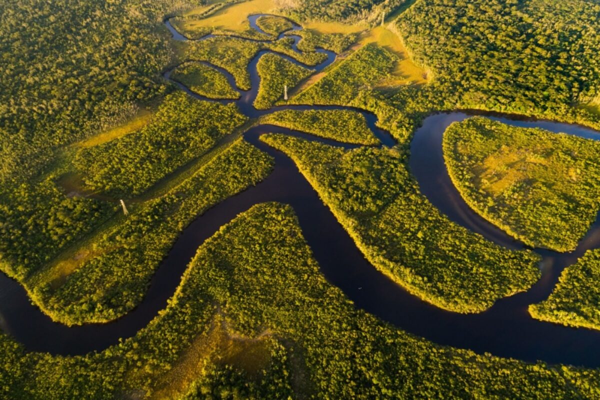 Brazil Amazon2