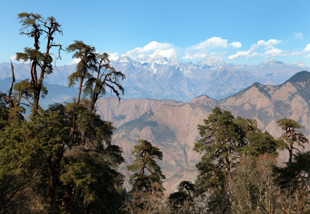 Far West Sapial