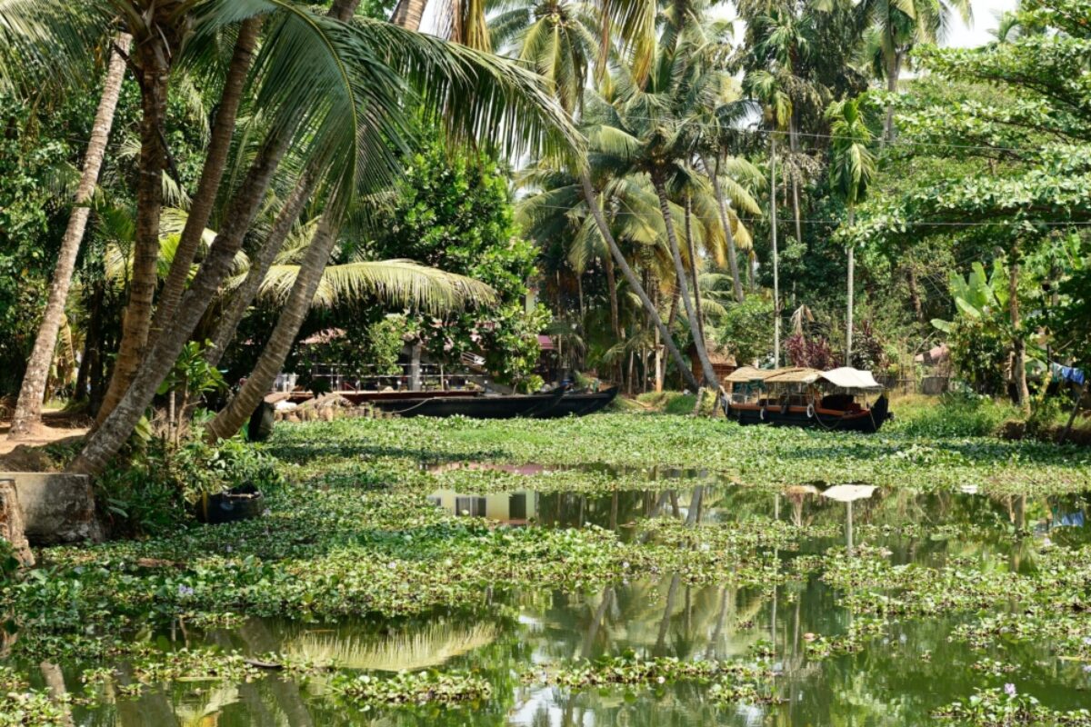 India Kumarakom2