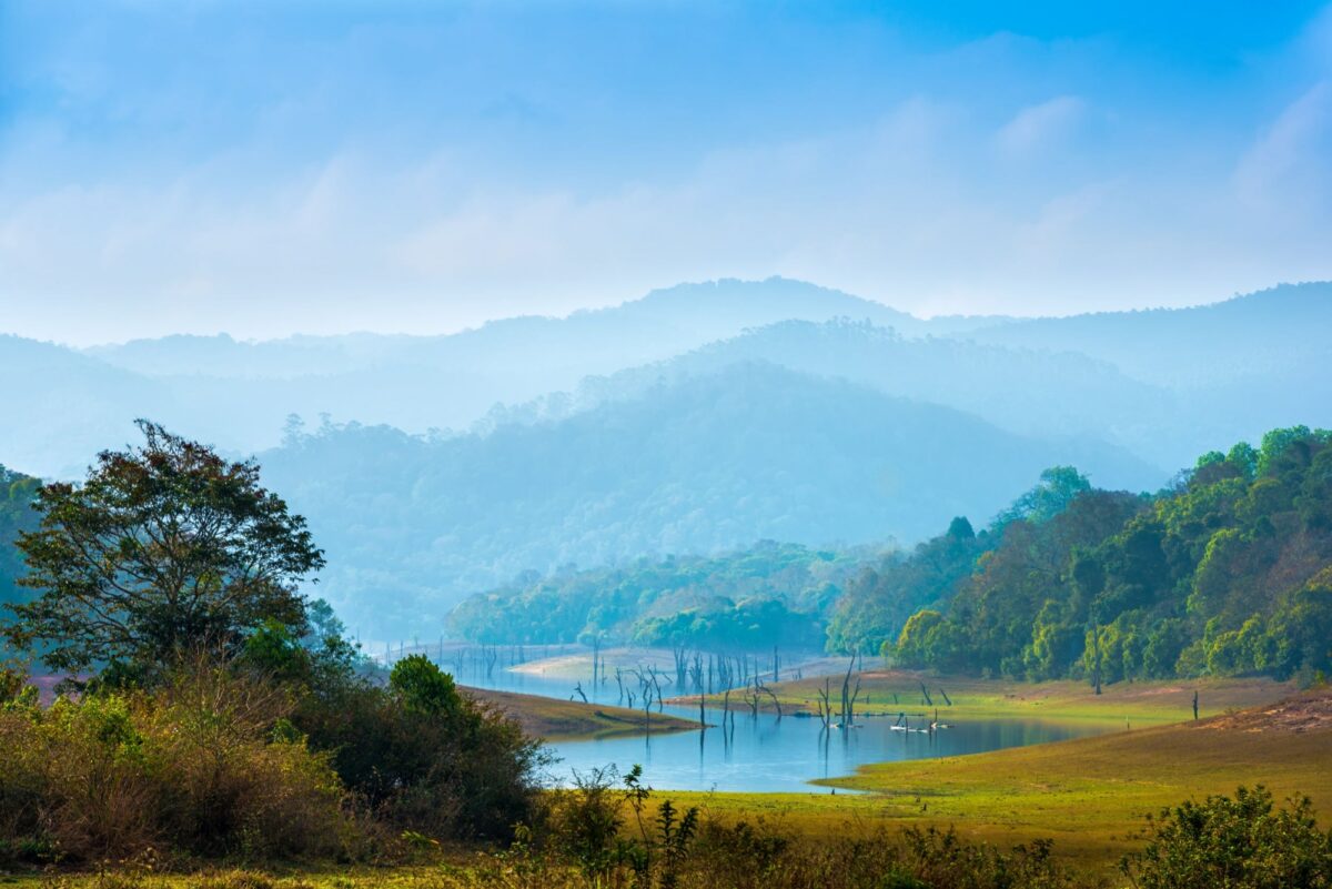India Periyar National Park