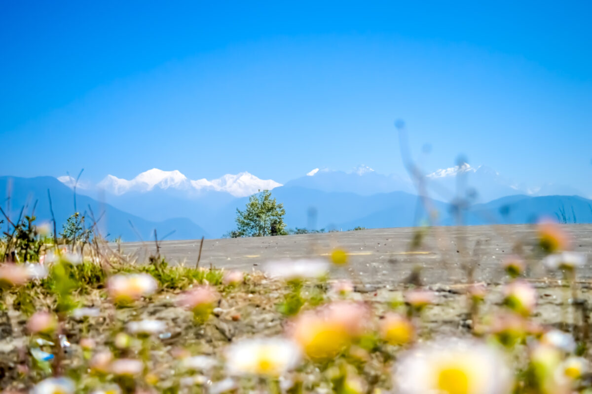 Kanchenjunga view 2