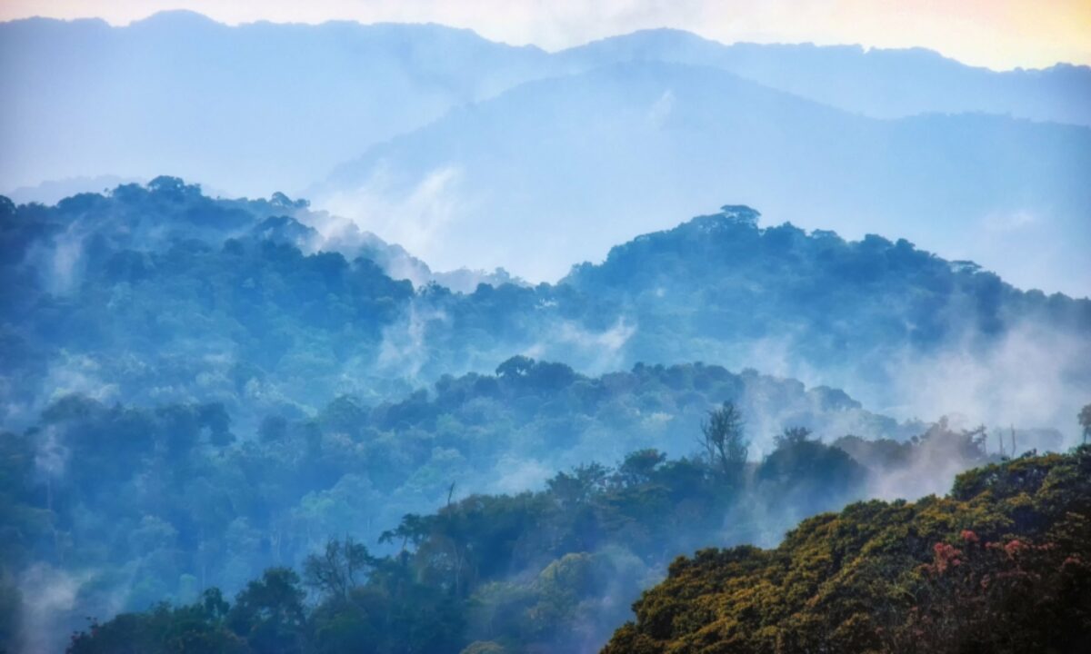 Rwanda Volcanoes National Park
