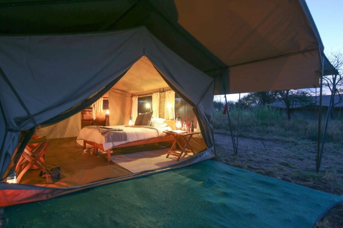 Serengeti Wilderness
