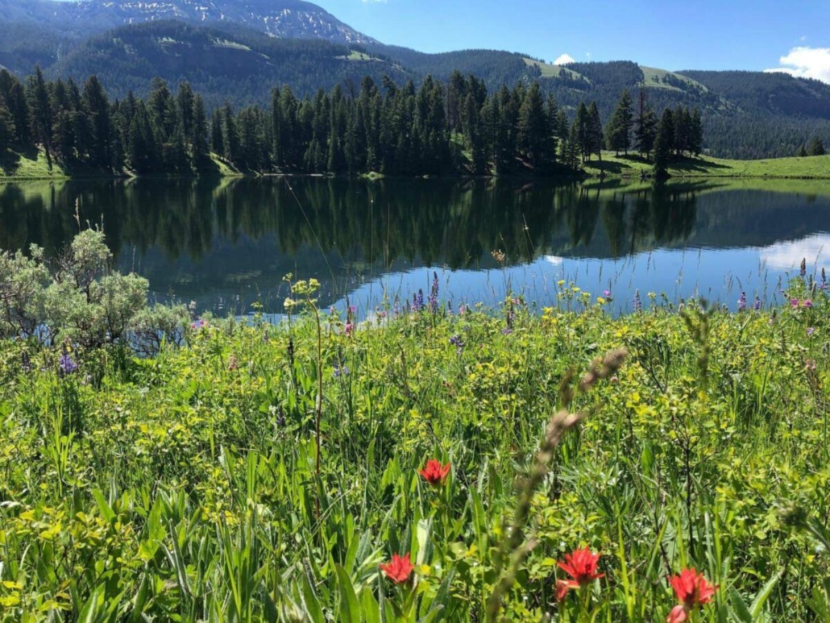 USA Yellowstone Adventure Tours 1