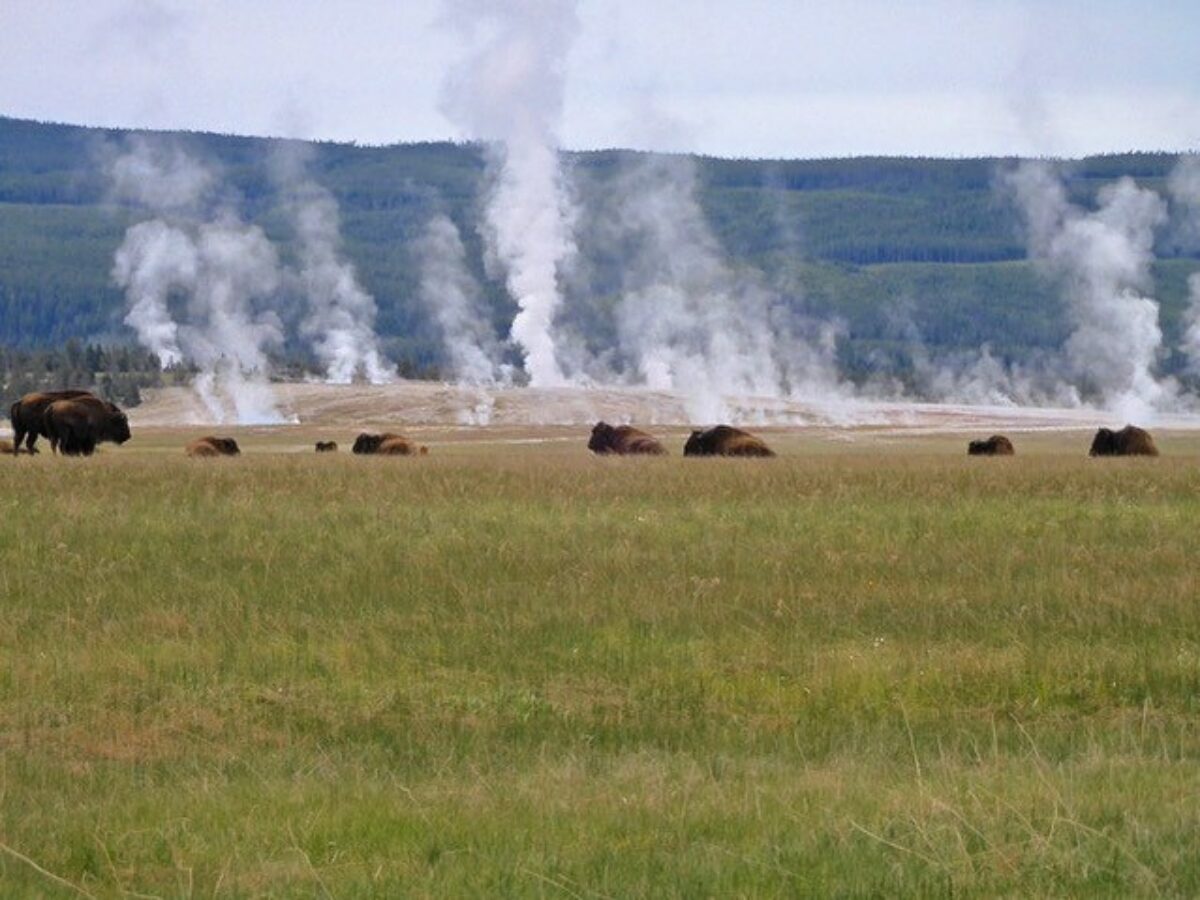 USA Yellowstone Adventure Tours 3