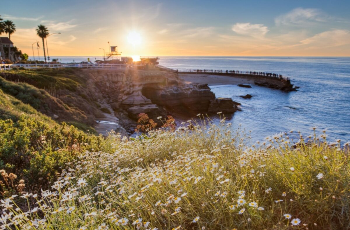 USA San Diego La Jolla cove beach