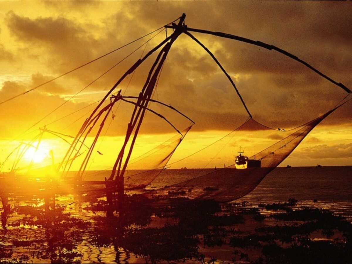 Active india Cochin