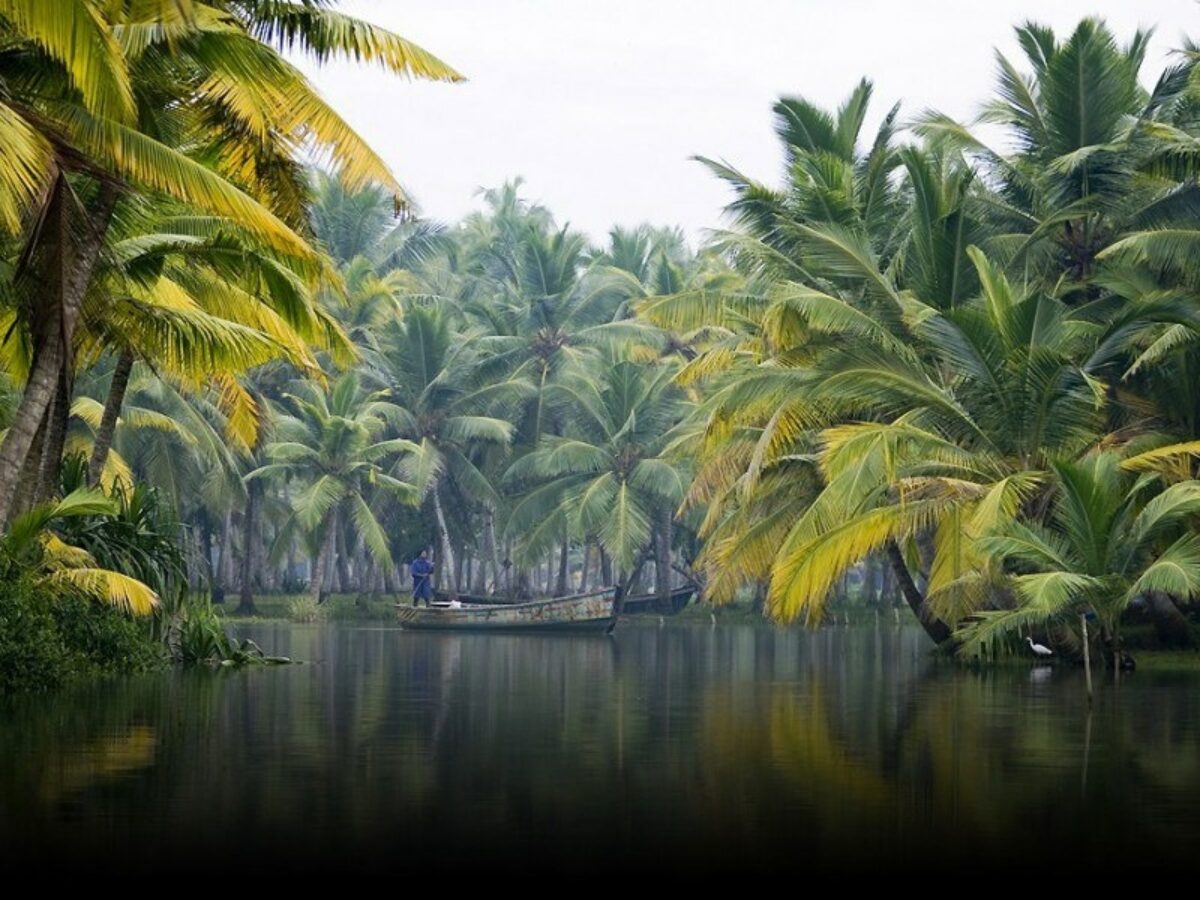 Active kerala3