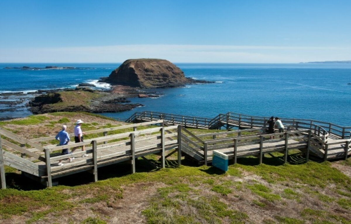 Gowestphillip island tour gallery 010