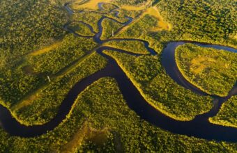 Brazilian Amazon