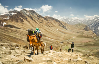 Dolpo region