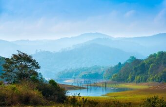 Periyar National Park