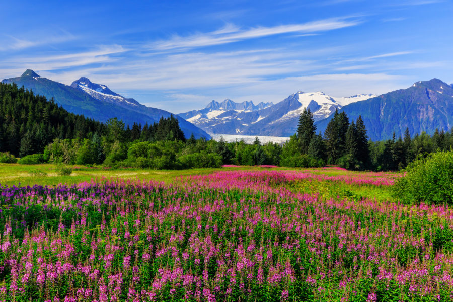 015_Alaska_Juneau_lowres