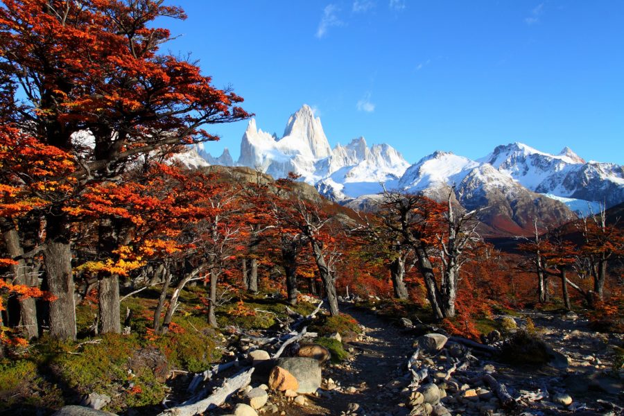 Argentina_Patagonia