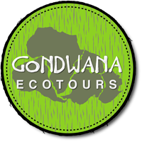 Gondwana Ecotours