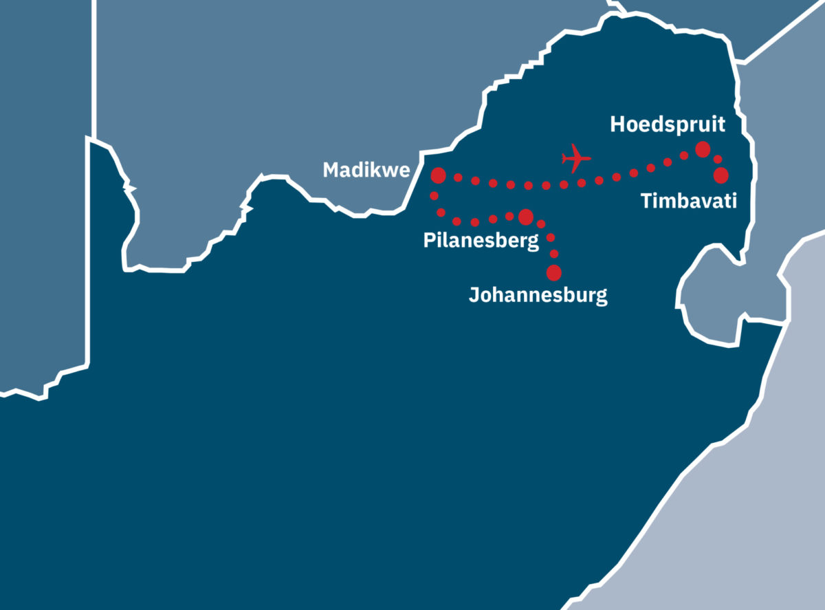 Jo’burg, Madikwe and Timbavati