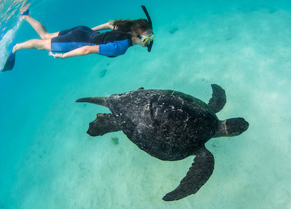 Isabela Island - Fernandina Island
