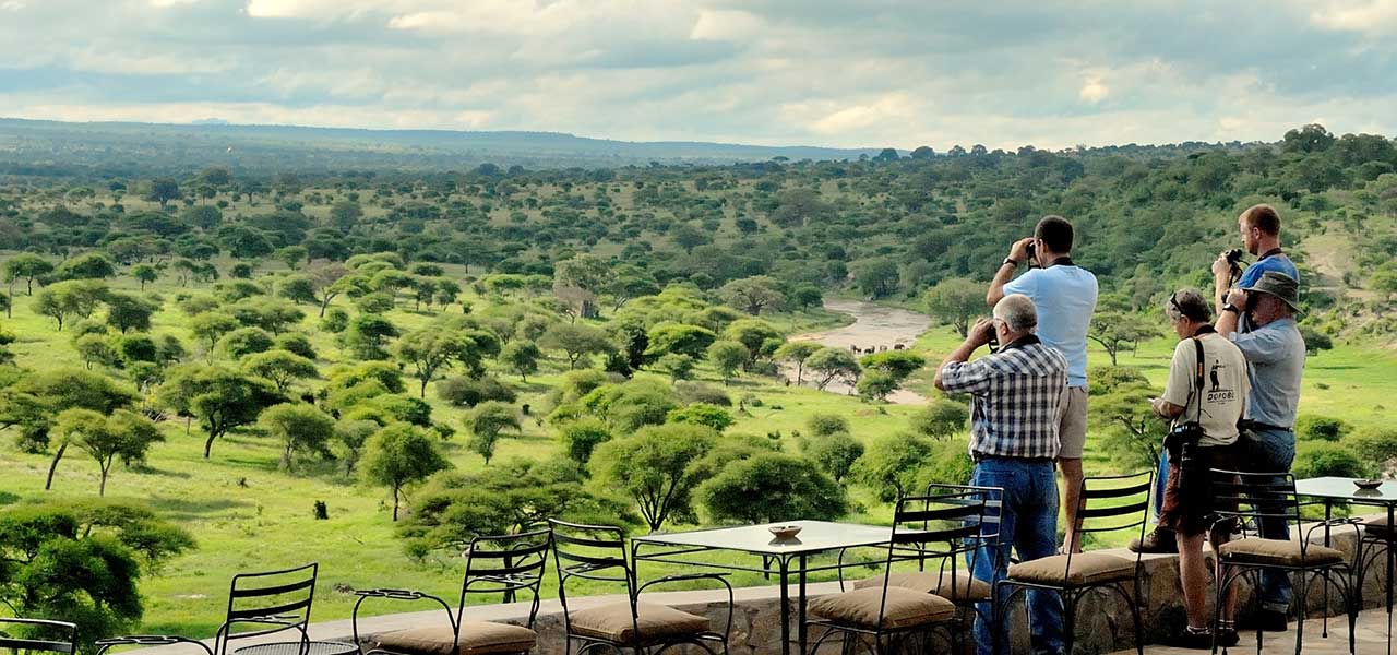 Arrive in Kilimanjaro