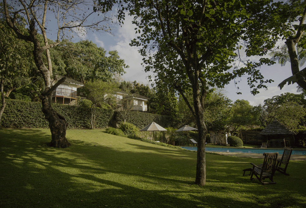 Arrival to Arusha