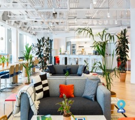 office space in Paddington