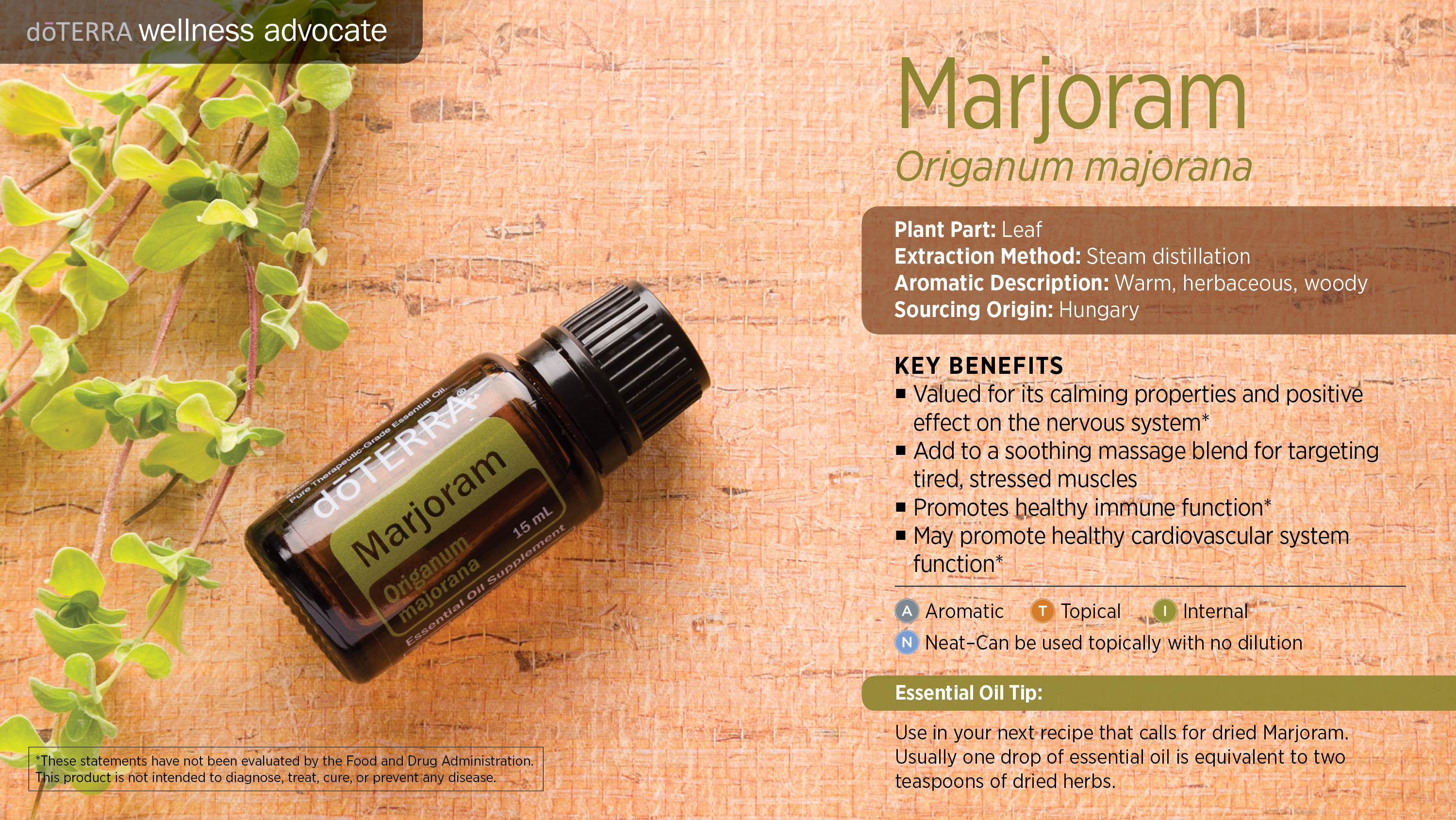 Marjoram Oil doTERRA Essential Oils