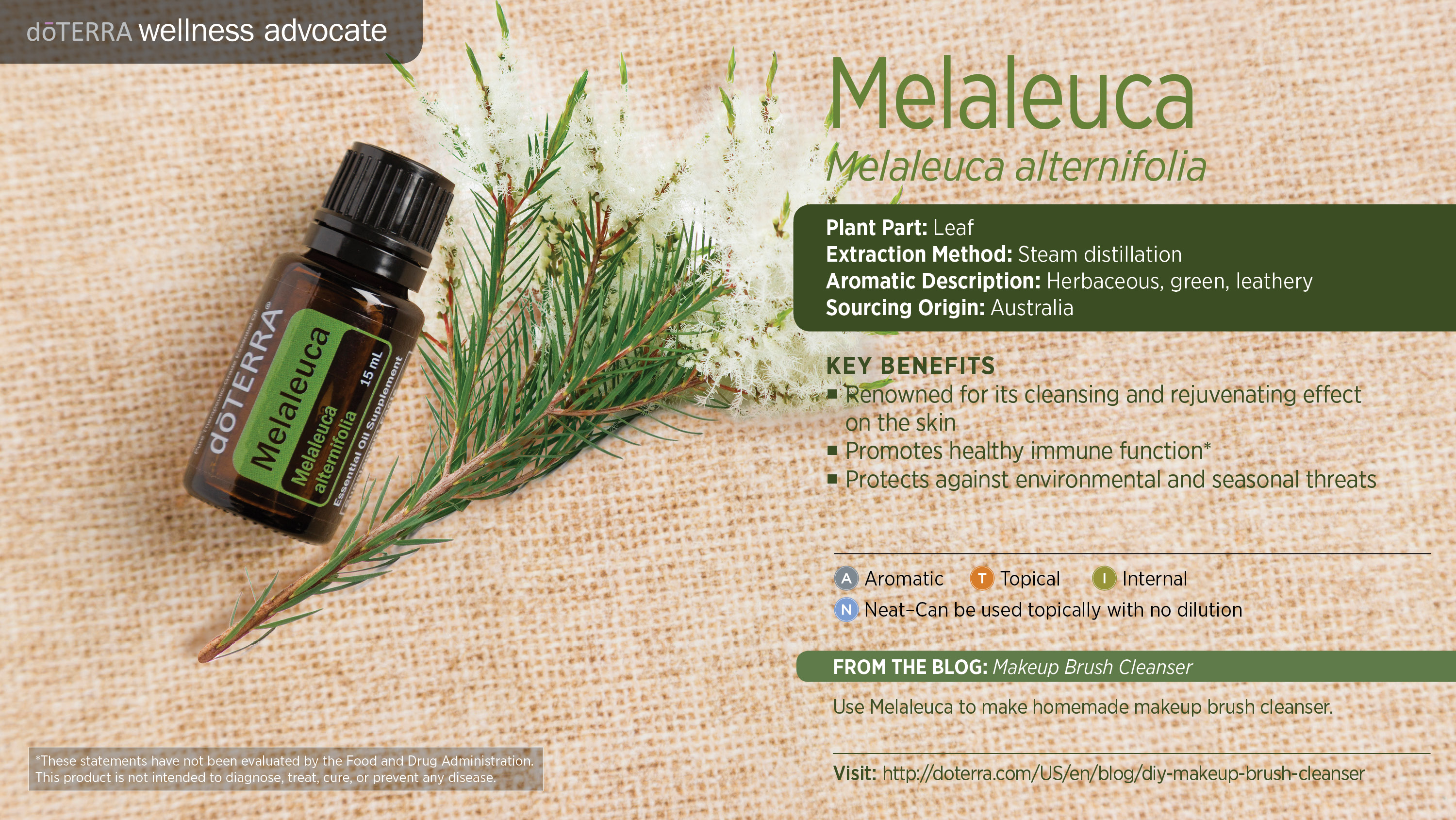 Melaleuca (Tea Tree) Oil | doTERRA Essential Oils
