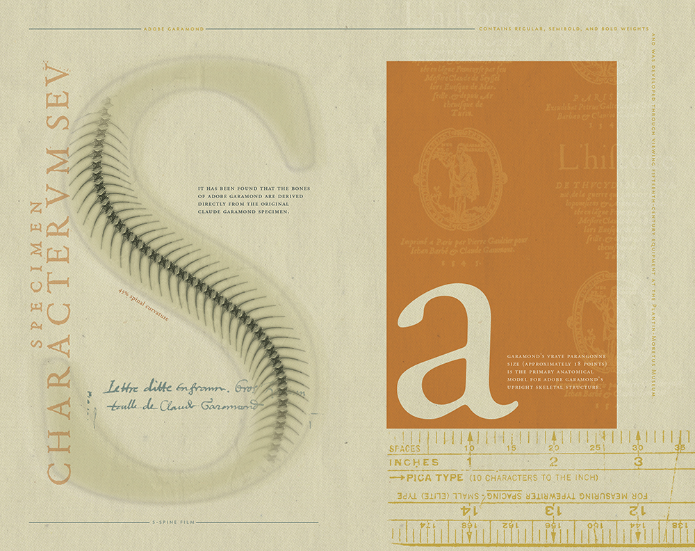 The Garamond Autopsy Report,  | International Design Awards Winners