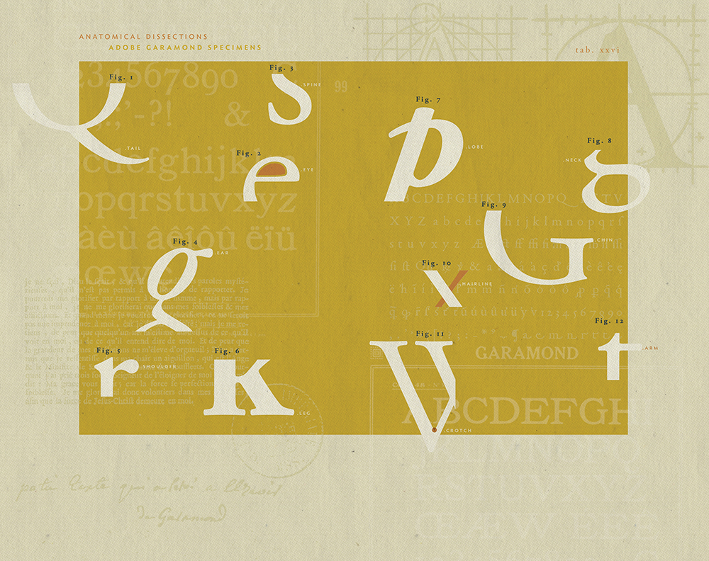 The Garamond Autopsy Report,  | International Design Awards Winners