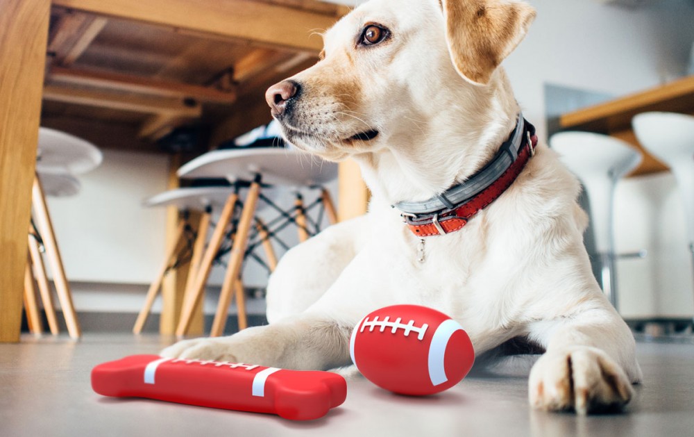 American Sport Pet Toy ,  | International Design Awards Winners