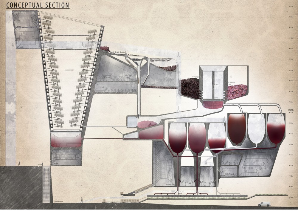 Wine Anatomy,  | International Design Awards Winners