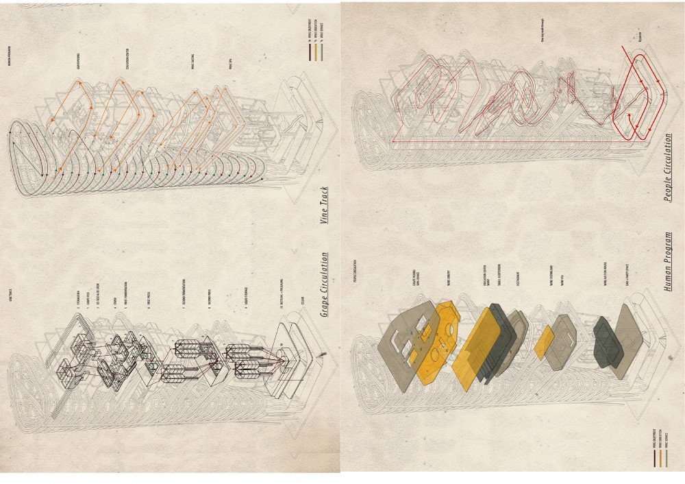 Wine Anatomy,  | International Design Awards Winners