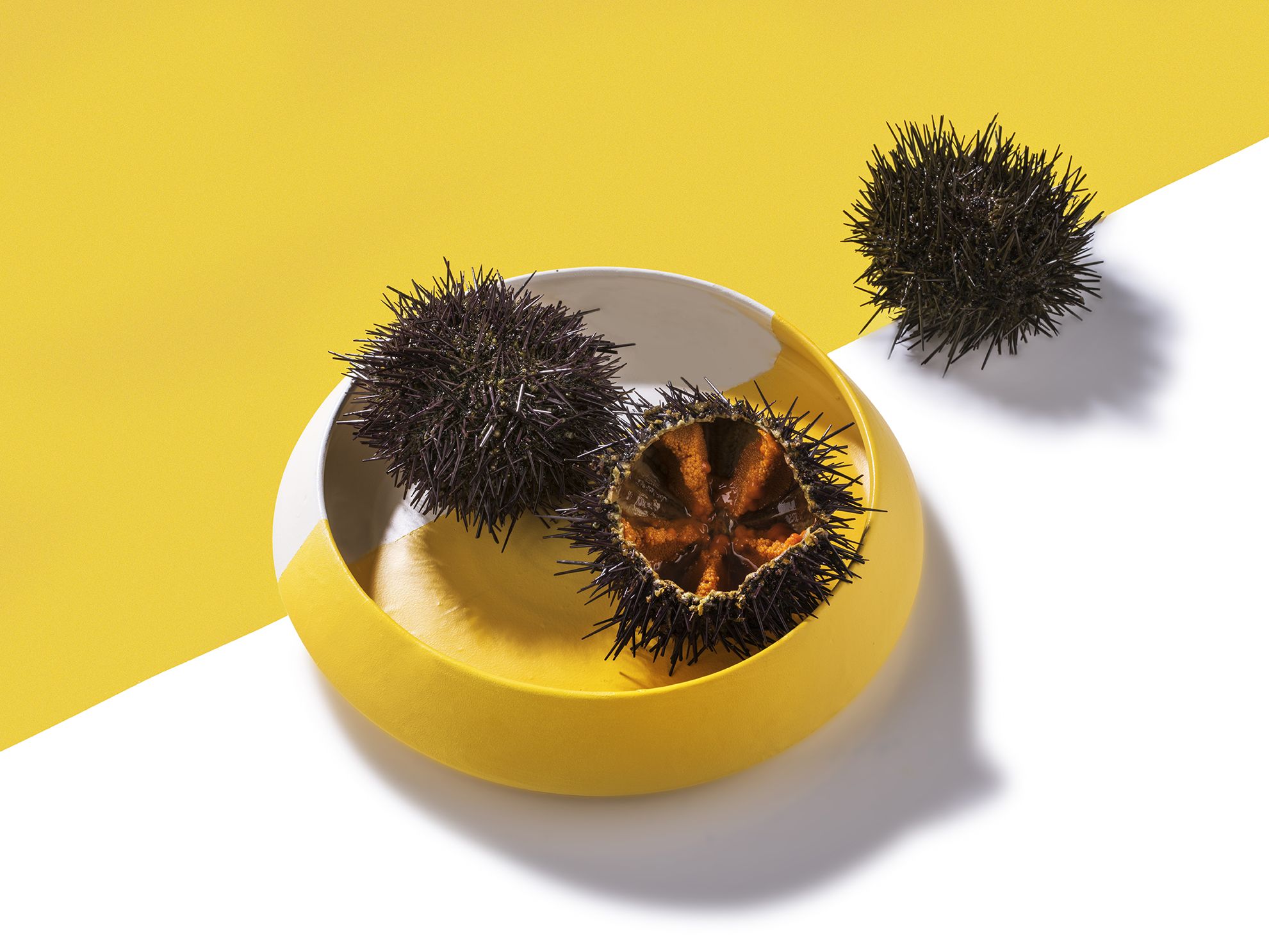 agăpe, id.real | International Design Awards Winners