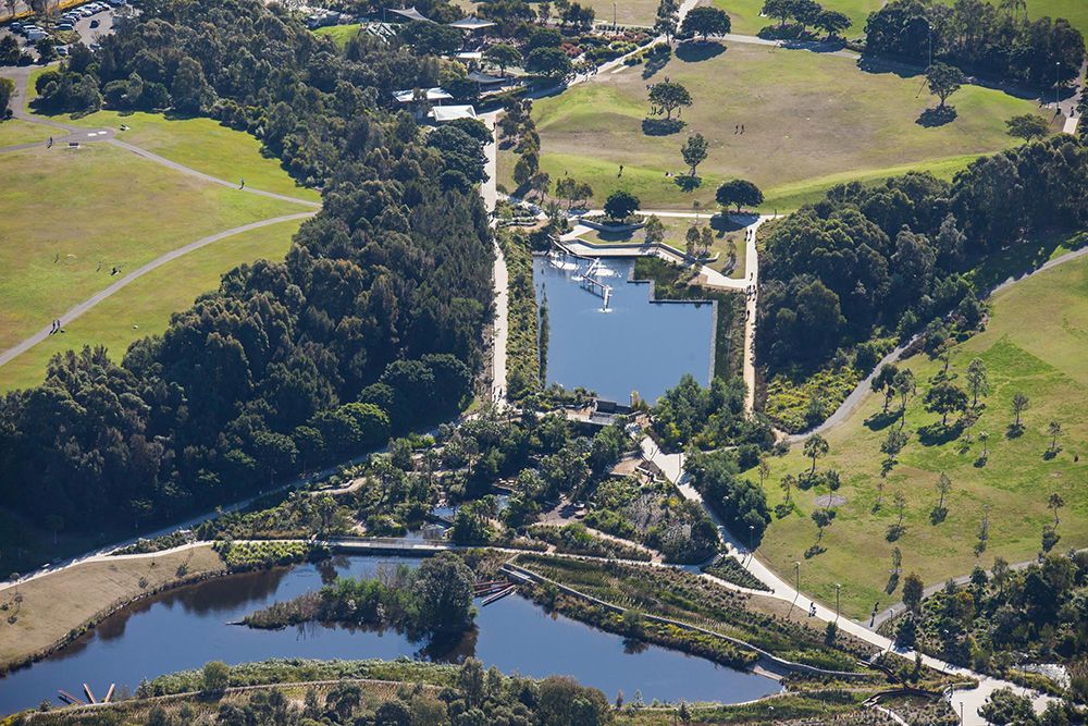 Sydney Park Water Re-Use Project, Turf Design Studio | International Design Awards Winners