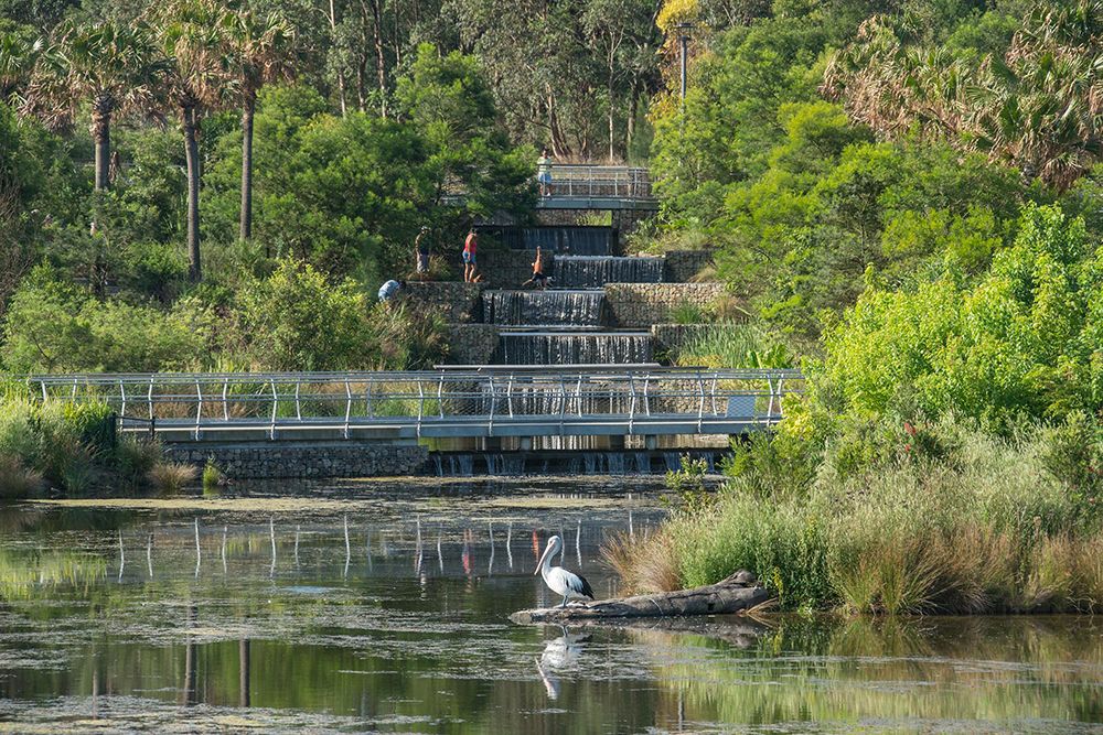Sydney Park Water Re-Use Project, Turf Design Studio | International Design Awards Winners