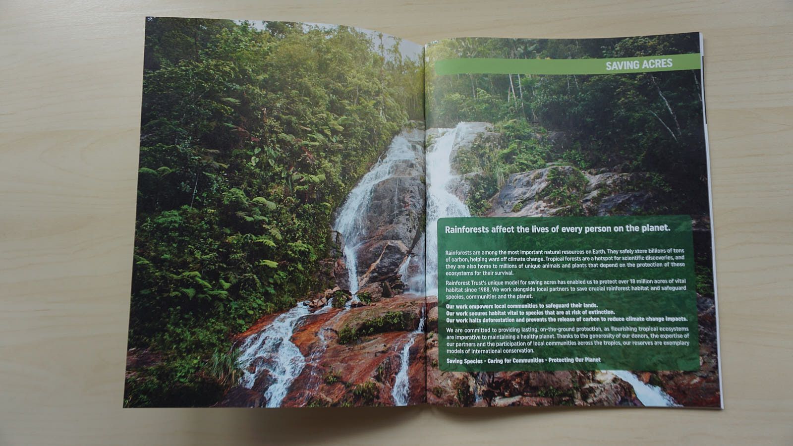 Annual Report 2017, Rainforest Trust | International Design Awards Winners