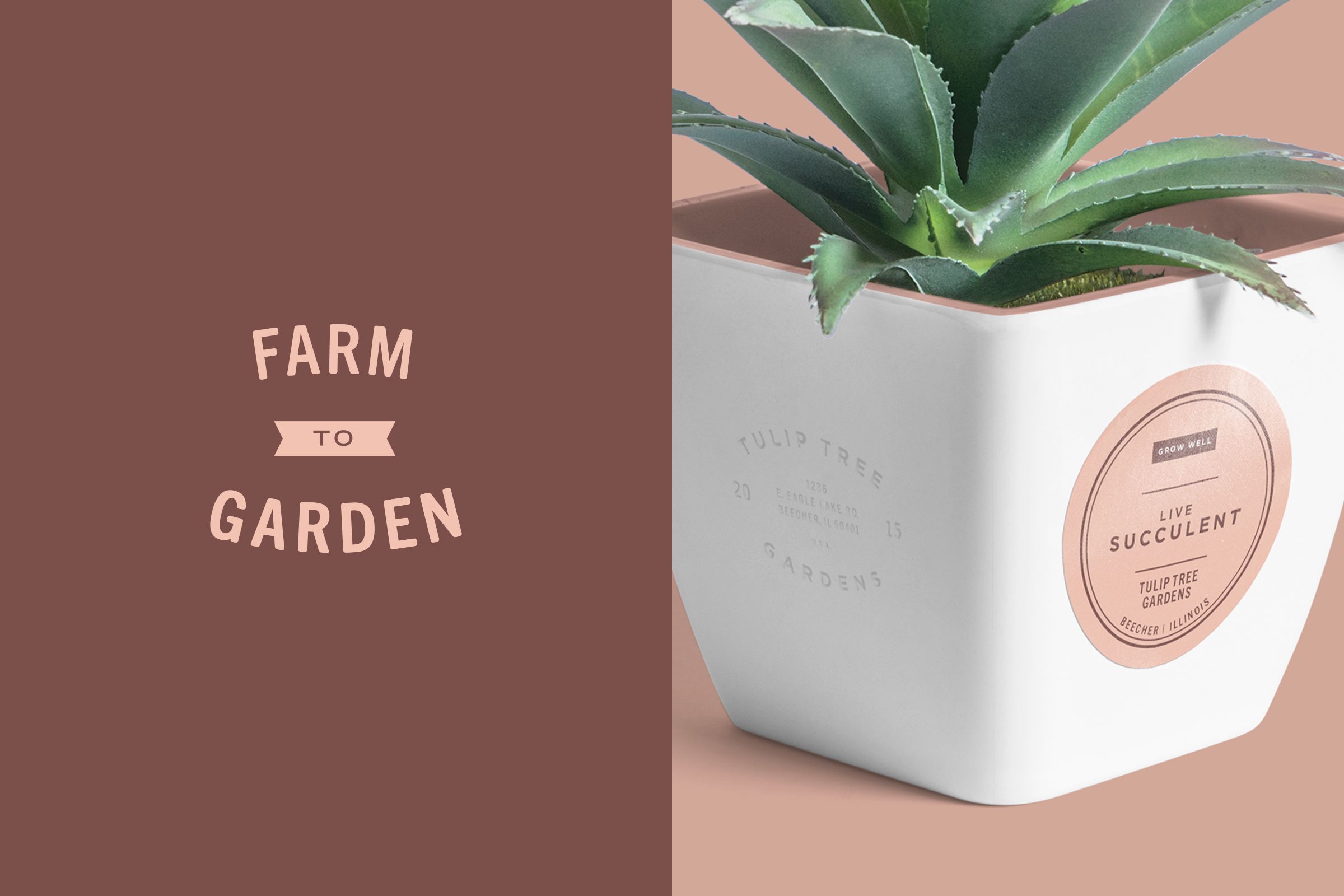 Tulip Tree Gardens Brand, +Intention | International Design Awards Winners
