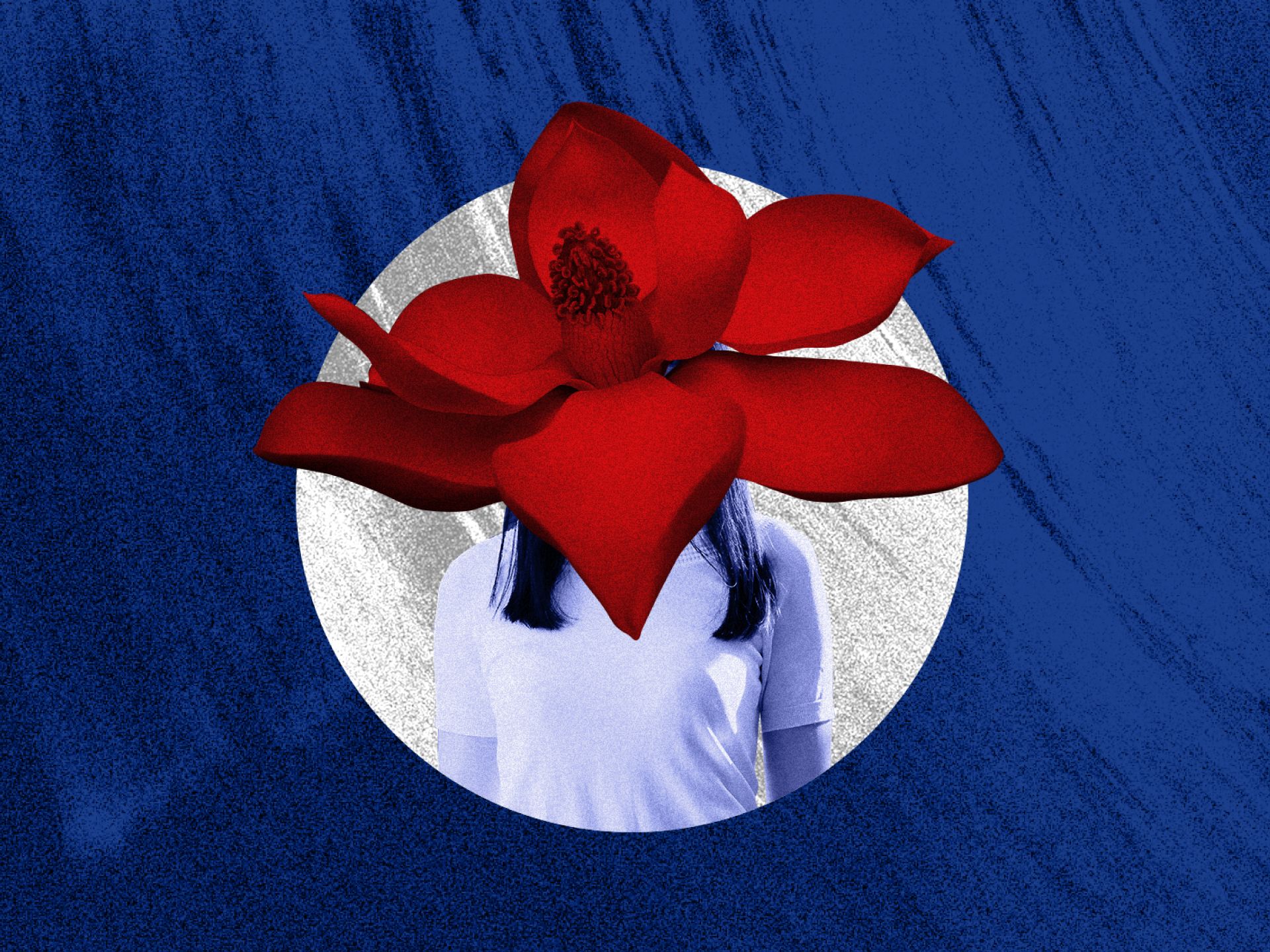 Foreign/Familiar,  | International Design Awards Winners