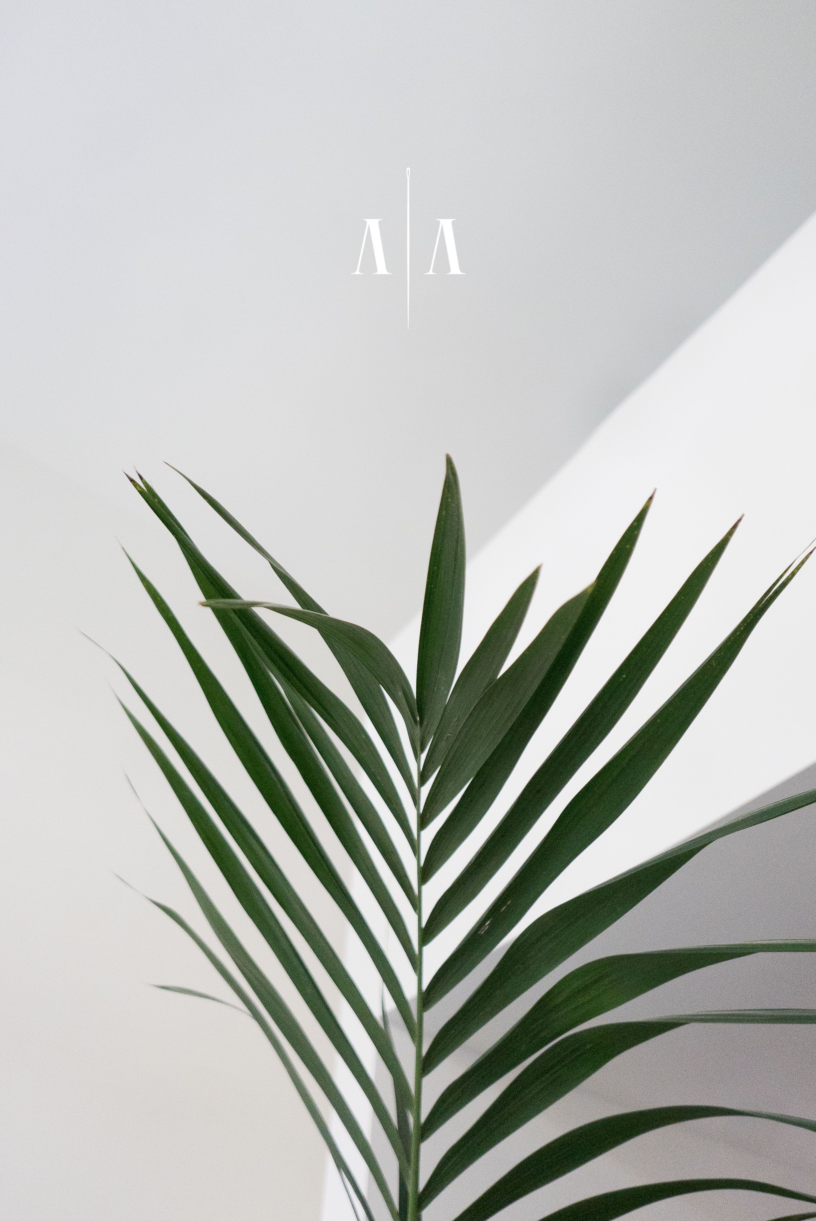 NAKED Collection , Anna Amélie | International Design Awards Winners