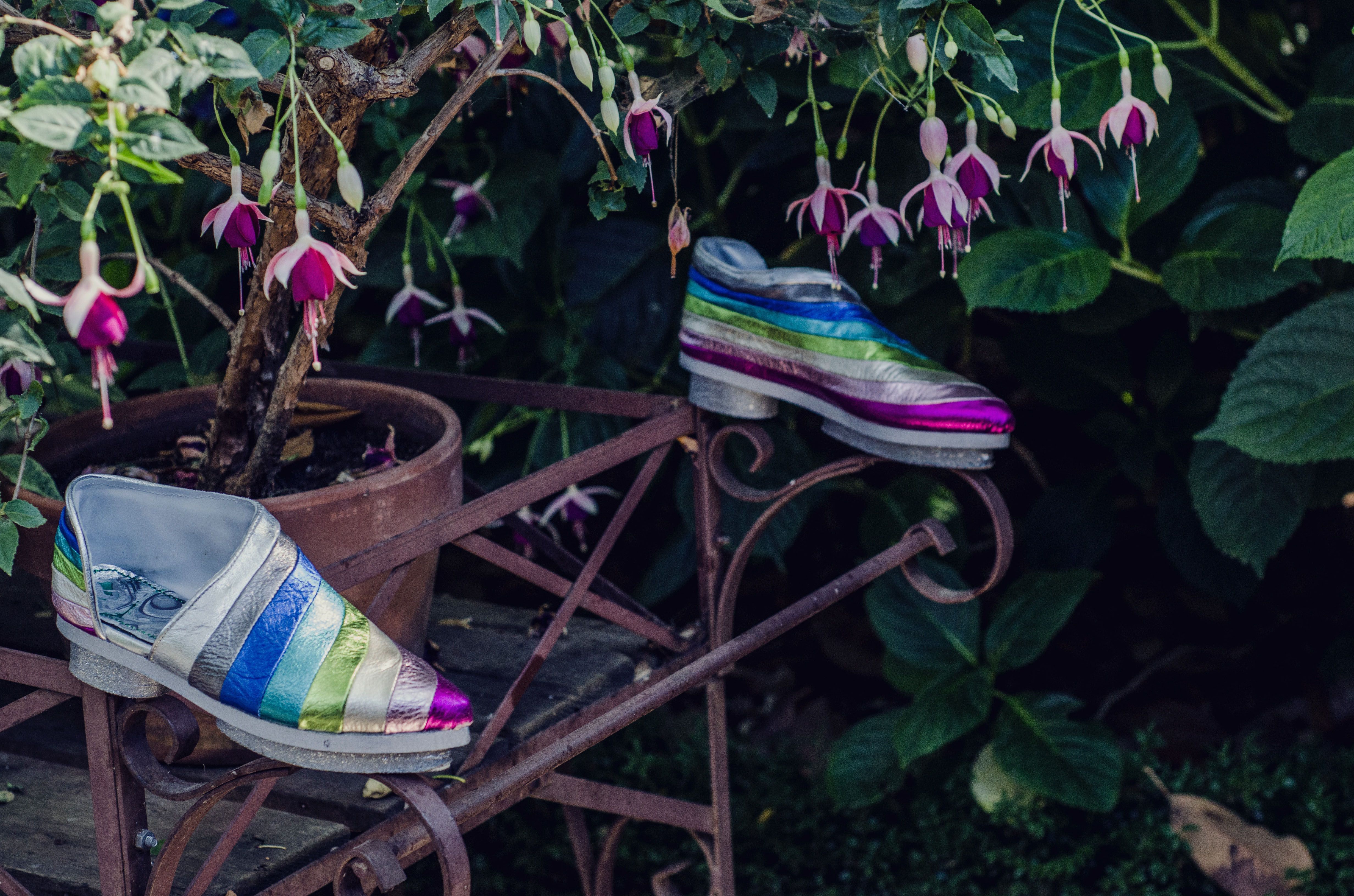 Rainbowtopia,  | International Design Awards Winners