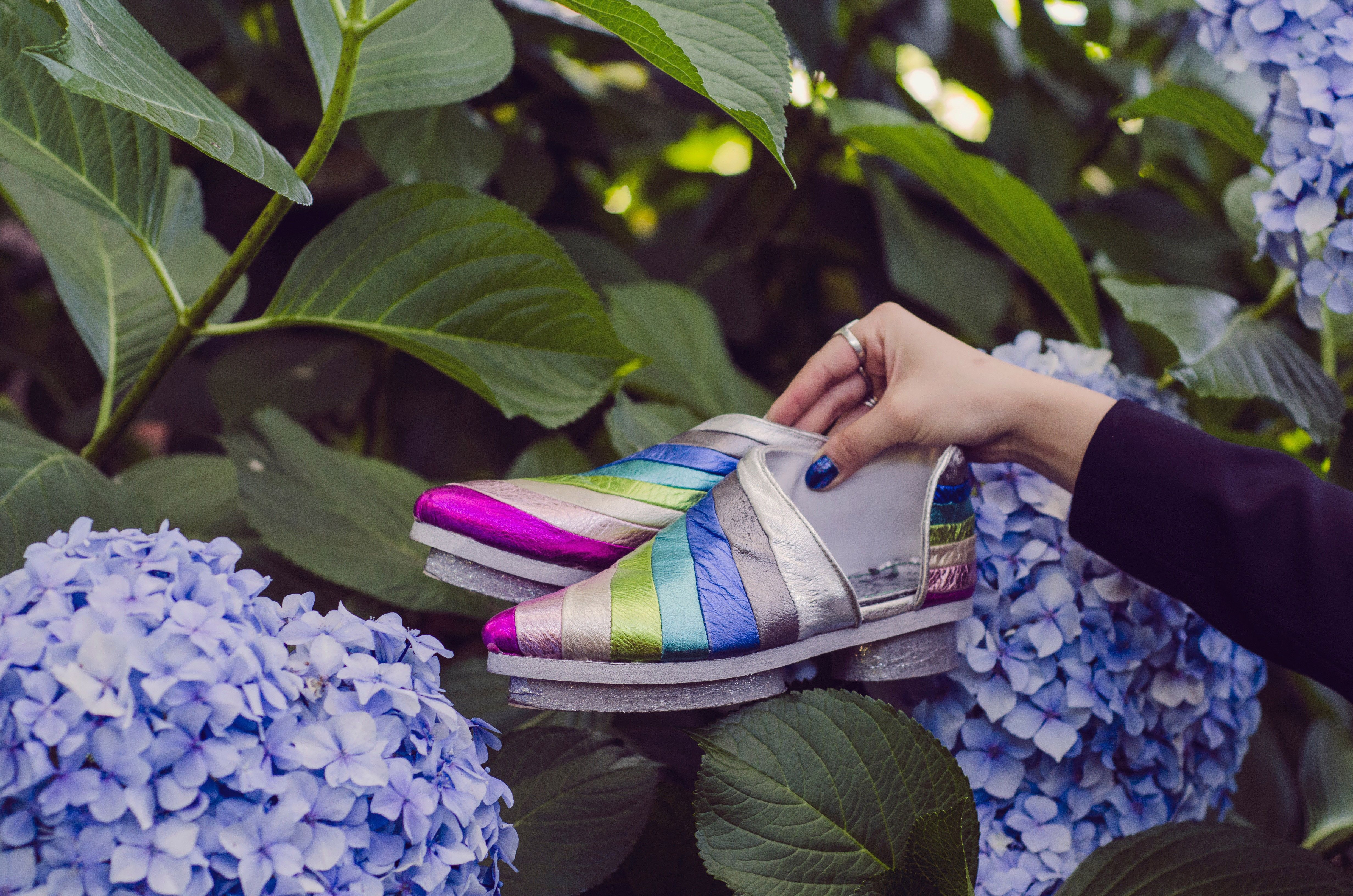 Rainbowtopia,  | International Design Awards Winners