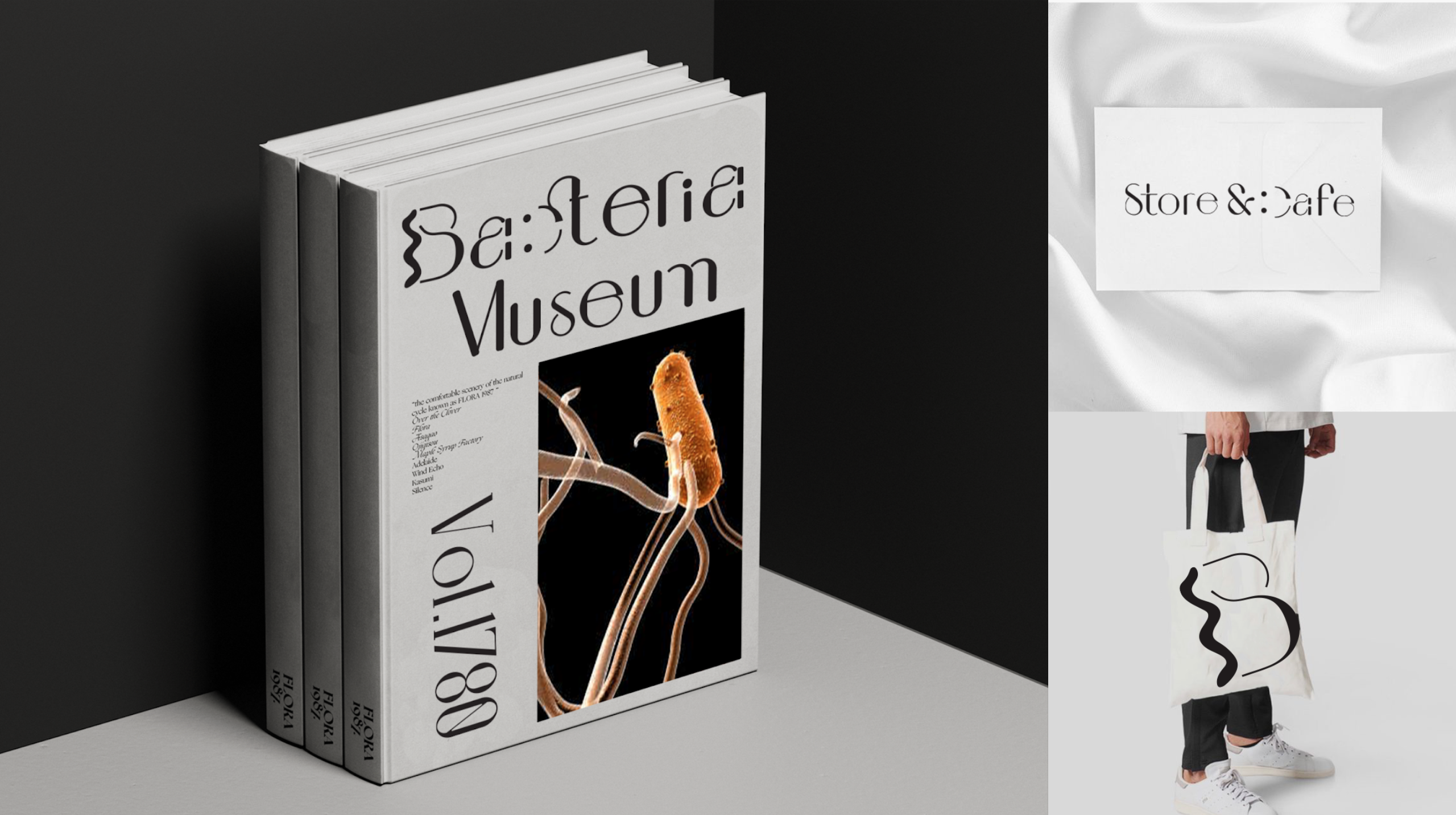 Bacteria Museum ,  | International Design Awards Winners