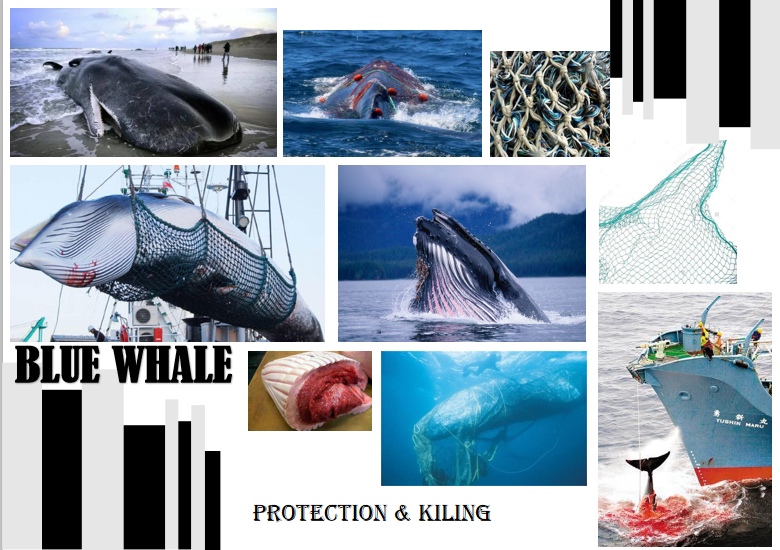 BLUE WHALE,  | International Design Awards Winners
