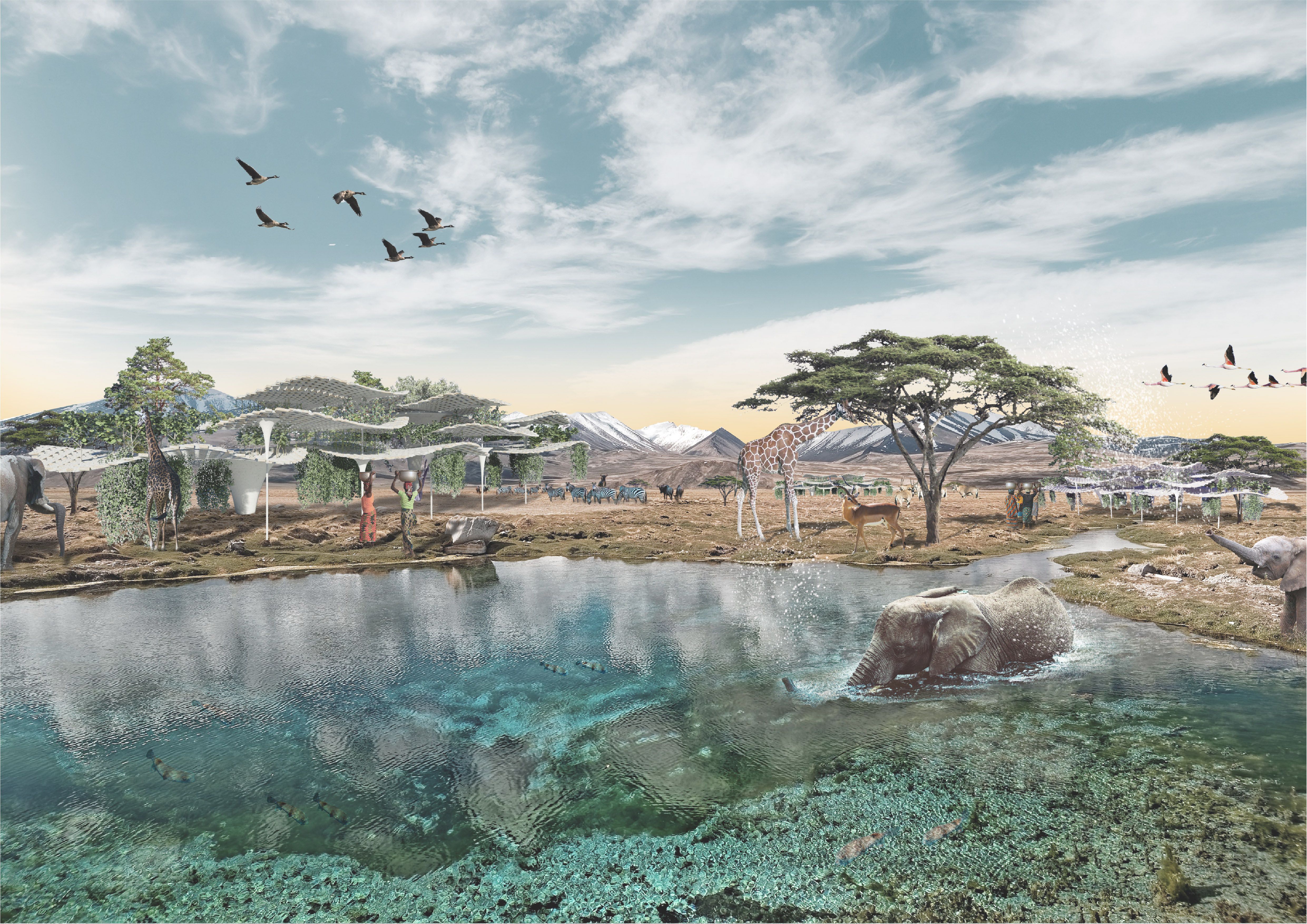 The Biomimetic Pavilions,  | International Design Awards Winners