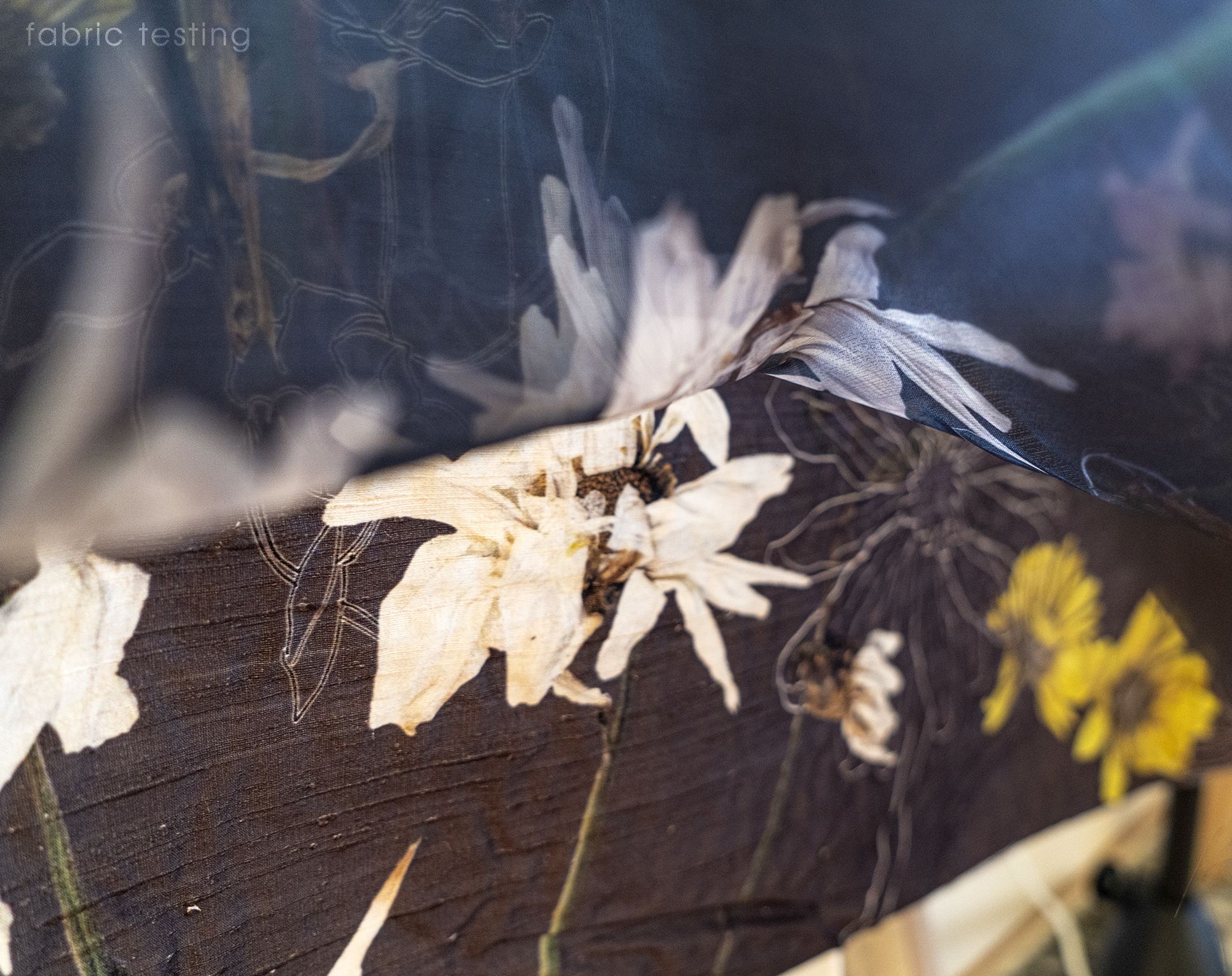 The Last Blooming, Qixin  | International Design Awards Winners