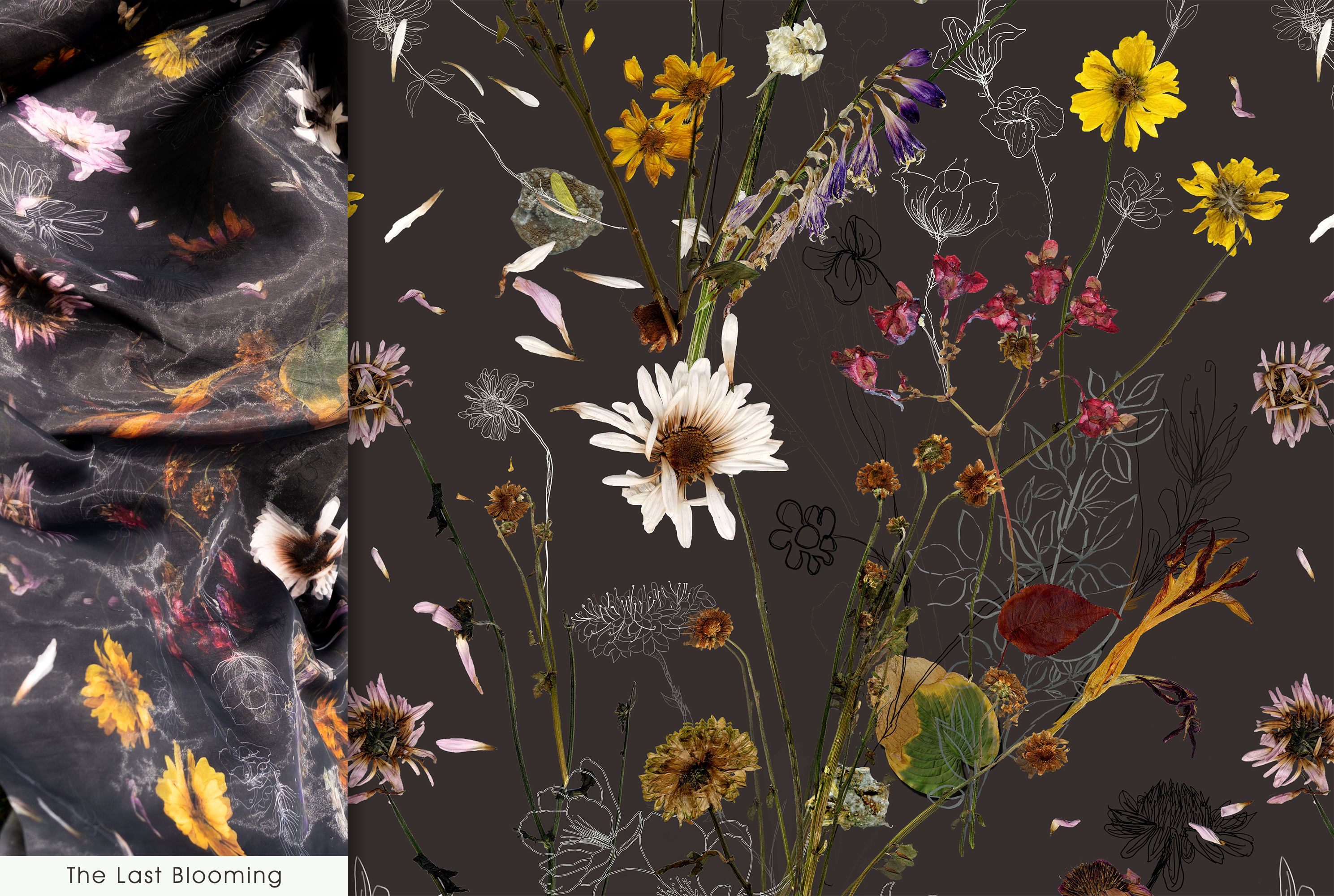 The Last Blooming, Qixin  | International Design Awards Winners