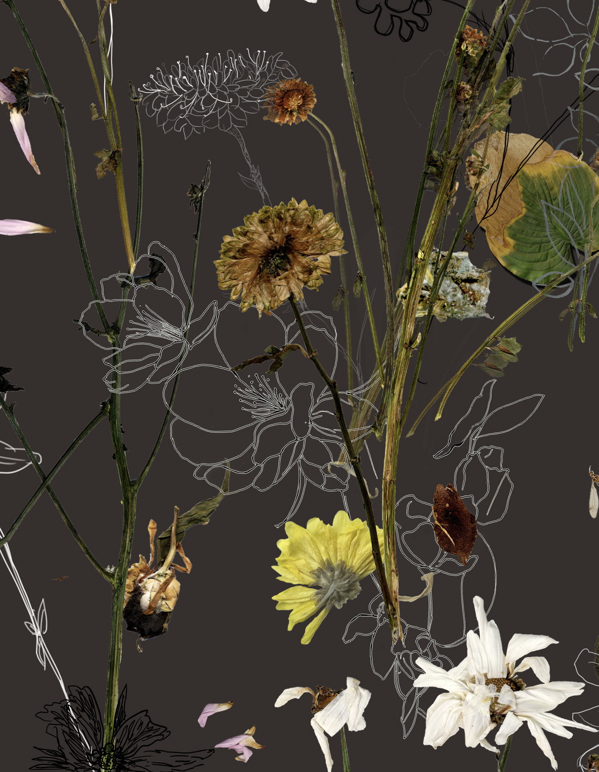 The Last Blooming, Qixin  | International Design Awards Winners