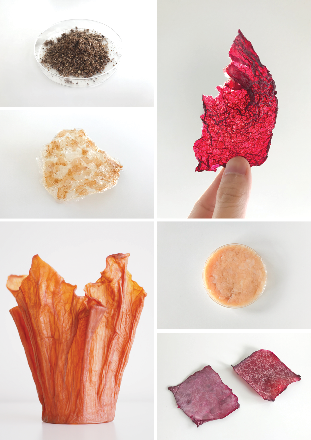 Flare,  | International Design Awards Winners