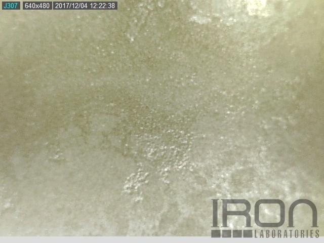 Sample #100815