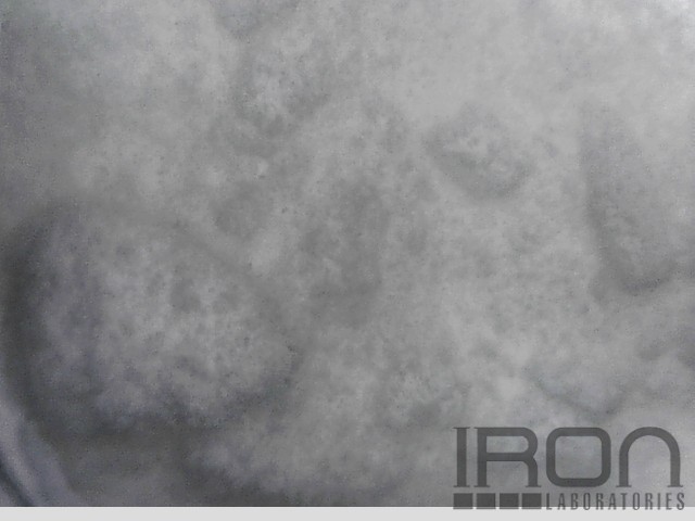 Sample #105989